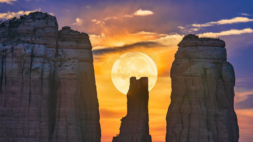 Stan Rose Images slider