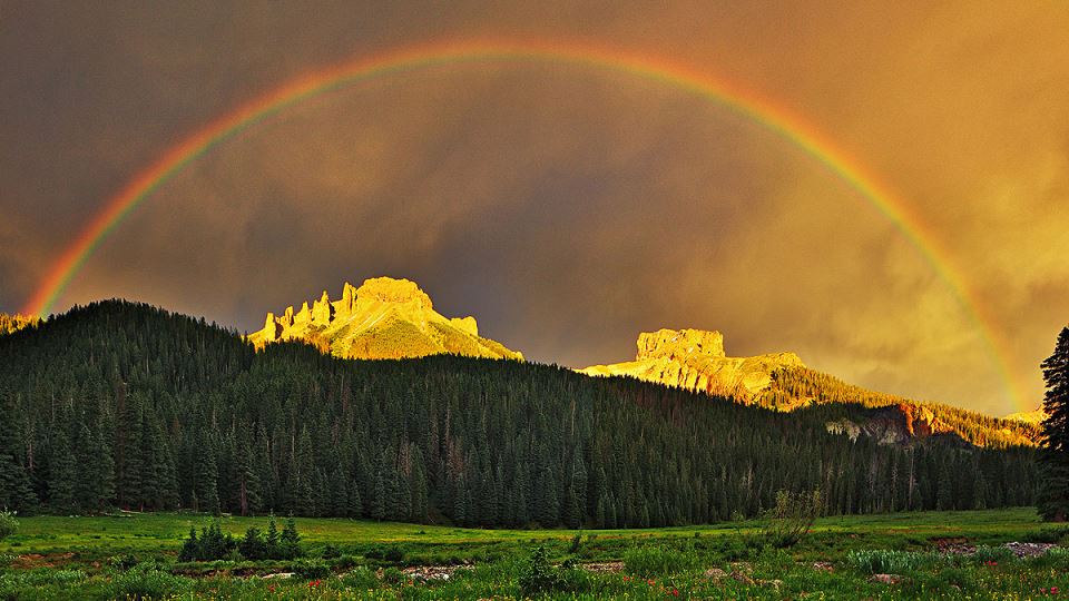 Stan Rose Images slider