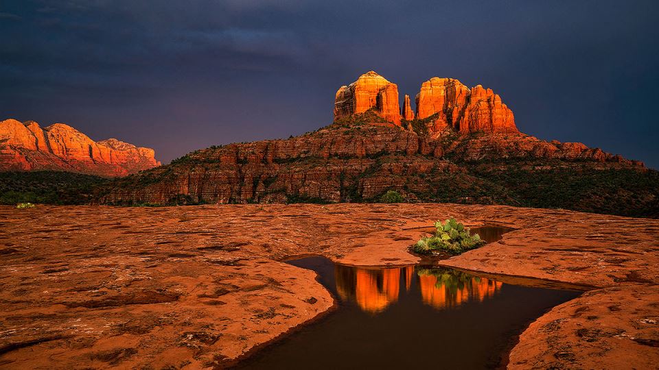 Stan Rose Images slider